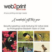 Web2Print